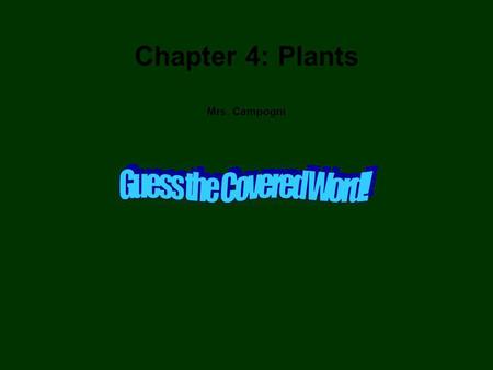 Chapter 4: Plants Mrs. Campogni Vocabulary Photosynthesis Xylem Phloem Pollen Pollination Embryo Spore Tropism Growth hormone.