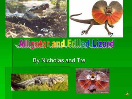 Alligator and Frilled Lizard