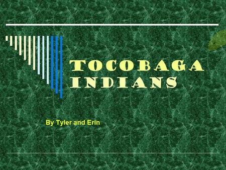 Tocobaga Indians By Tyler and Erin.