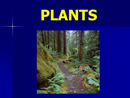 PLANTS Plants What are the parts of a plant? The parts of a plant are the roots, the stem, the leaves and the flowers. The parts of a plant are the roots,