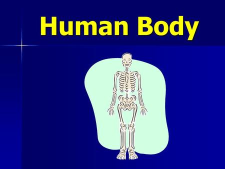 Human Body Human Body What about our brains? When you are six years old, your brain will weigh three pounds. When you are six years old, your brain will.