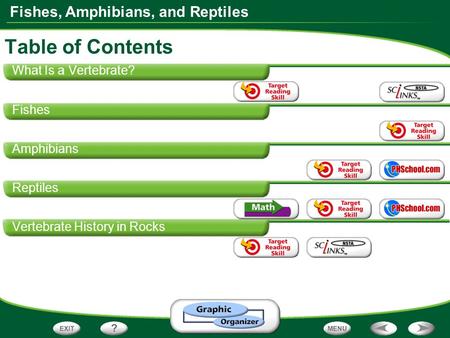 Table of Contents What Is a Vertebrate? Fishes Amphibians Reptiles