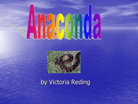 By Victoria Reding. There are five different groups of animals with vertebrates. These classifications are: Mammals Mammals Fish Fish Reptiles Reptiles.