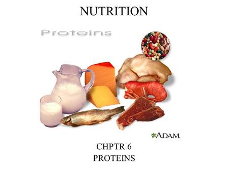 NUTRITION CHPTR 6 PROTEINS.