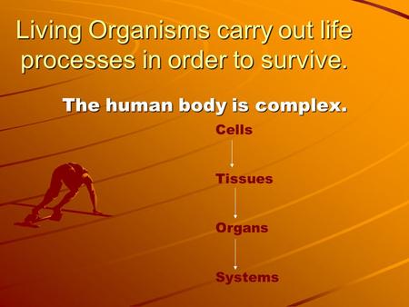 Living Organisms carry out life processes in order to survive.