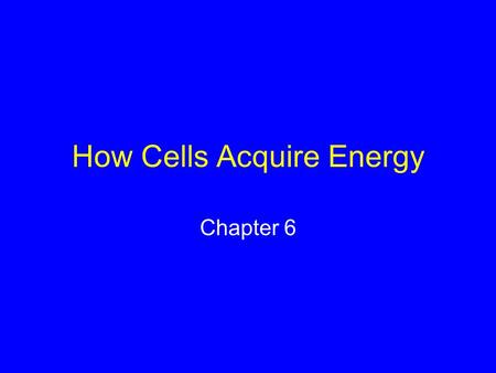 How Cells Acquire Energy