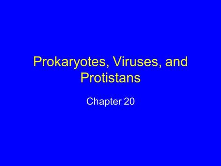 Prokaryotes, Viruses, and Protistans