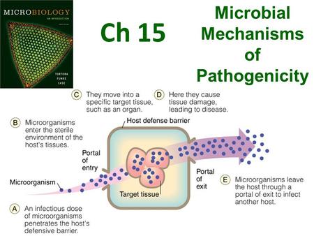 Microbial Mechanisms of Pathogenicity