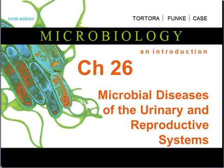 Ch 26 Microbial Diseases of the Urinary and Reproductive Systems.