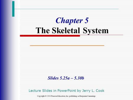 Chapter 5 The Skeletal System