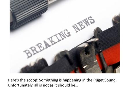 Heres the scoop: Something is happening in the Puget Sound. Unfortunately, all is not as it should be…