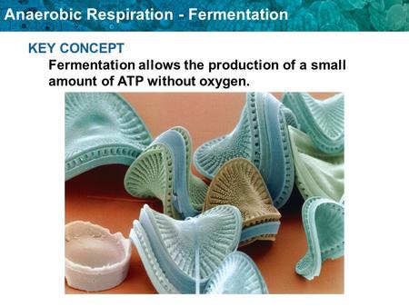 If no oxygen is available, cells can obtain energy through the process of anaerobic respiration.