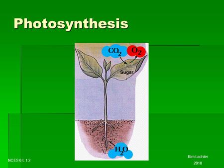 Photosynthesis Kim Lachler 2010 NCES 6 L 1.2. Photosynthesis Plants can make their own food through a process called Photosynthesis. Plants can make their.