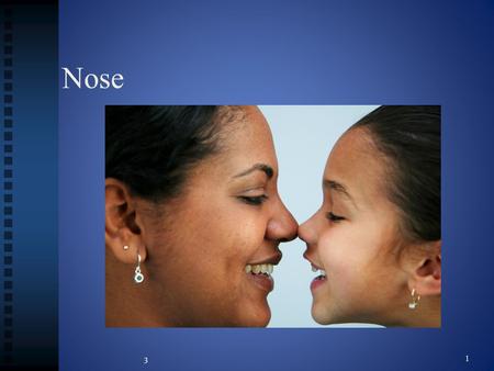 Nose 3 1.