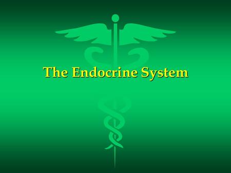 The Endocrine System.