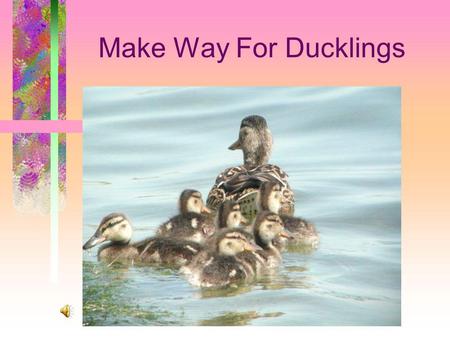 Make Way For Ducklings enormous very large, huge Just as they were getting ready to start on their way, a strange enormous bird came by. The baker is.