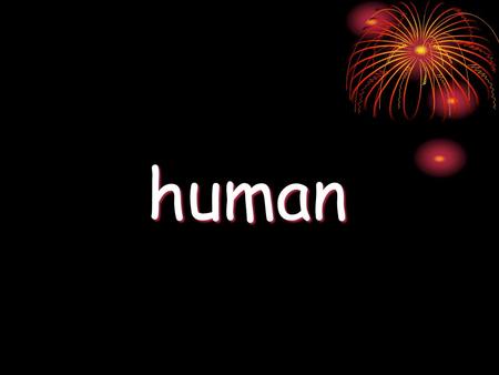 human fuse cue few human fuse cue few music.