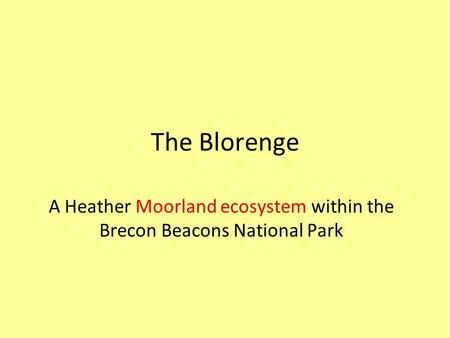 A Heather Moorland ecosystem within the Brecon Beacons National Park