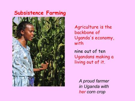 Subsistence Farming Agriculture is the backbone of Uganda's economy, with nine out of ten Ugandans making a living out of it. A proud farmer in Uganda.