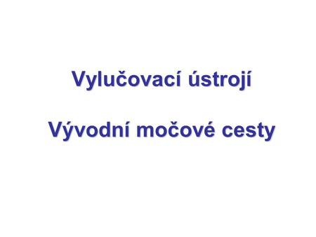 Vylučovací ústrojí Vývodní močové cesty