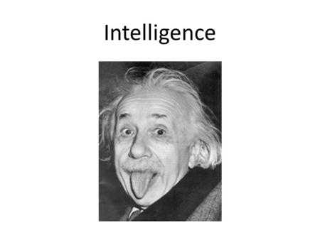 Intelligence.