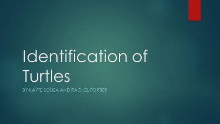 Identification of Turtles BY KAYTE SOUSA AND RACHEL FORTIER.