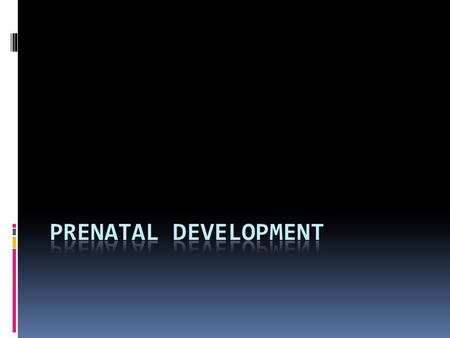 Conception (Fertilization)  Joining of the egg and sperm.