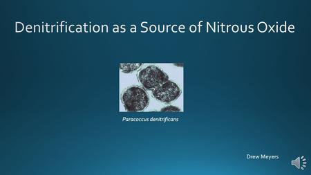 Drew Meyers Paracoccus denitrificans Agriculture: 73%, 17% from Nitrate runoff Wastewater: 3% UNEP 2013 N2O Report.