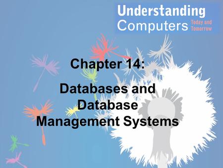 Databases and Database Management Systems