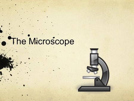 The Microscope. History of the Microscope Magnification (making things appear bigger) has been used for thousands of years. From the time of the Egyptians.