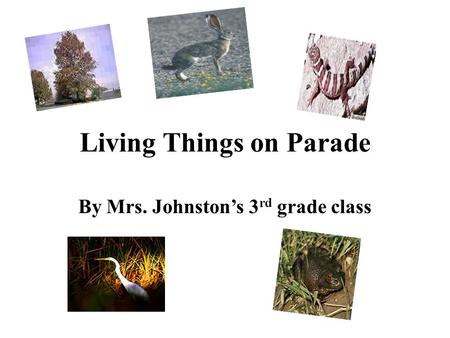 Living Things on Parade By Mrs. Johnston’s 3rd grade class