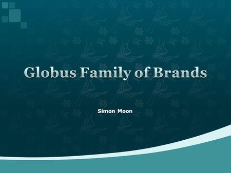 Simon Moon. VP in Switzerland *VP in CanadaVP in Australia VP in the USA *Chief Account Manager *Chief Customer Service Manager *Chief Marketing Manager.