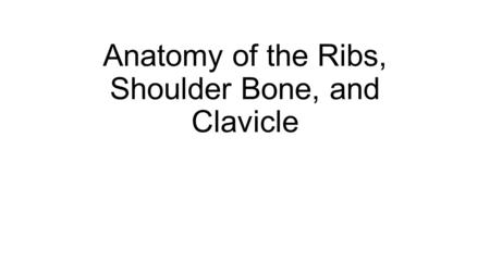 Anatomy of the Ribs, Shoulder Bone, and Clavicle