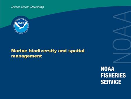 Marine biodiversity and spatial management. Setting the stage Conserving biodiversity → sustainable provision of present and future ecosystem services.