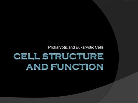 Cell Structure and Function