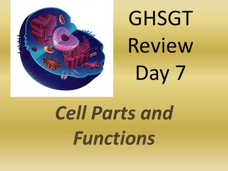 Cell Parts and Functions