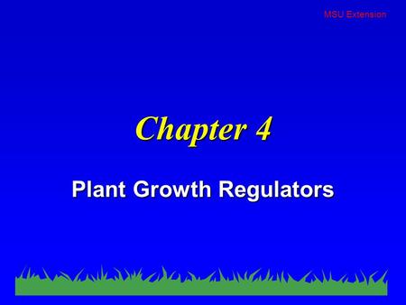 MSU Extension Chapter 4 Plant Growth Regulators. MSU Extension A plant growth regulator is a chemical that alters a plant’s vegetative growth or reproductive.