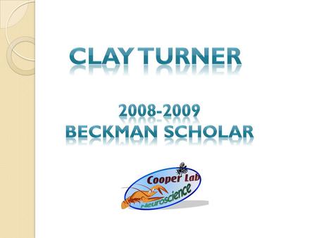 Started conducting research in Dr. Cooper’s lab during my junior year of high school Investigated the role of Serotonin on behavior and development in.