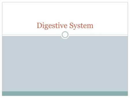 Digestive System.