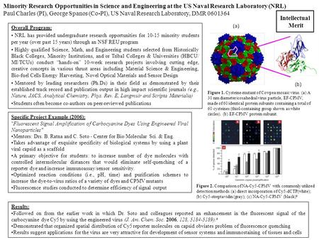 Minority Research Opportunities in Science and Engineering at the US Naval Research Laboratory (NRL) Paul Charles (PI), George Spanos (Co-PI), US Naval.