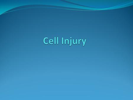 Cell injury A person’s state of wellness and disease is reflected in the cells. Injury to any of the cell’s components can lead to illness. Consider,