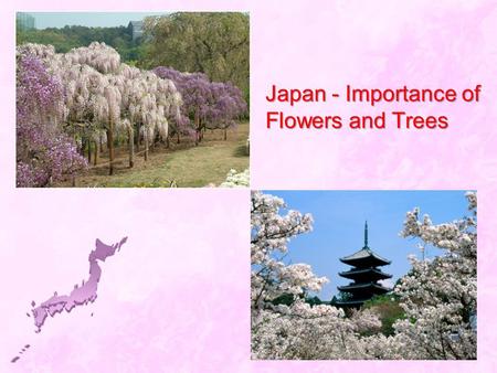 Japan - Importance of Flowers and Trees