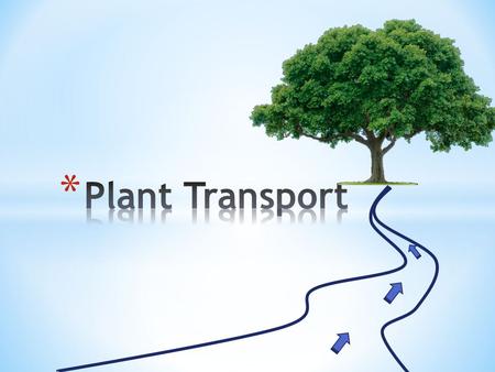 Plant Transport.