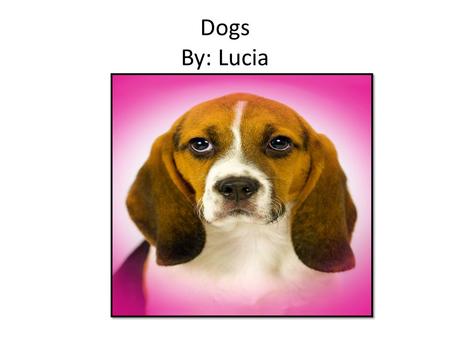 Dogs By: Lucia. Table of Contents Introduction…………………………………Page 3 Chapter1:What Is A Dog……………….Page 4 Chapter2:Feeding Your Dog………….Page 5 Chapter3:Training.