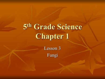 5 th Grade Science Chapter 1 Lesson 3 Fungi. Copy following notes in copybook **Four types of Fungi **Four types of Fungi 1. Mushrooms – many celled 1.