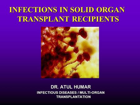 DR. ATUL HUMAR INFECTIOUS DISEASES / MULTI-ORGAN TRANSPLANTATION INFECTIONS IN SOLID ORGAN TRANSPLANT RECIPIENTS.