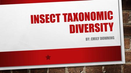 INSECT TAXONOMIC DIVERSITY BY: EMILY DOWNING INSECT ORDER EPHEMEROPTERA ODONATA BLATTARIA ISOPTERA DERMATPTERA ORTHOPTERA PHASMIDA HEMIPTERA COLEOPTERA.