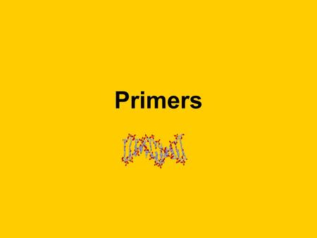 Primers. What is a primer? Primers are oligonucleotides, small pieces of RNA or DNA up to 30 base pairs long (a bigger piece is known as a polynucleotide)