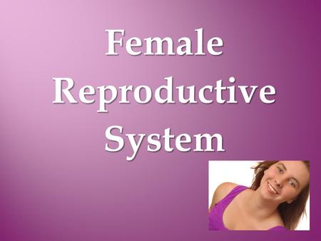 Female Reproductive System