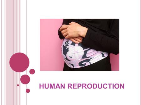 HUMAN REPRODUCTION.